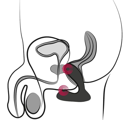 Illustration showing internal placement of the Svakom Vick for prostate and perineum stimulation